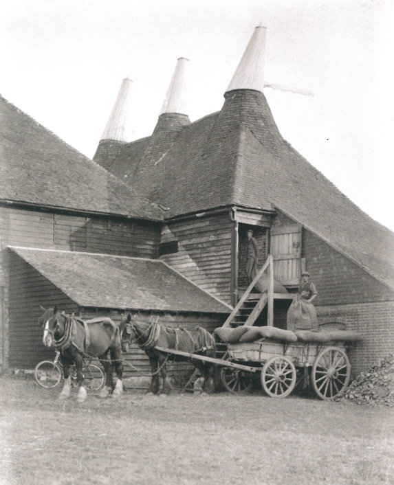 Oasts: essiccatoi per il luppolo 